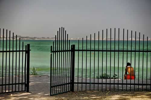 Mihai DASCALESCU DIACIUC