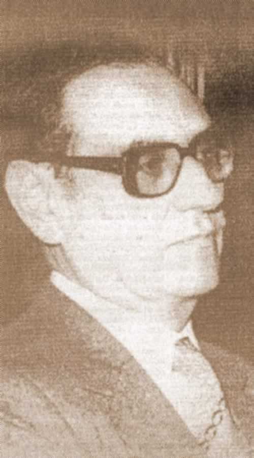 Stefan Augustin DOINAS